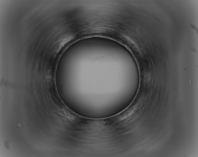 X0000092251210200710121252