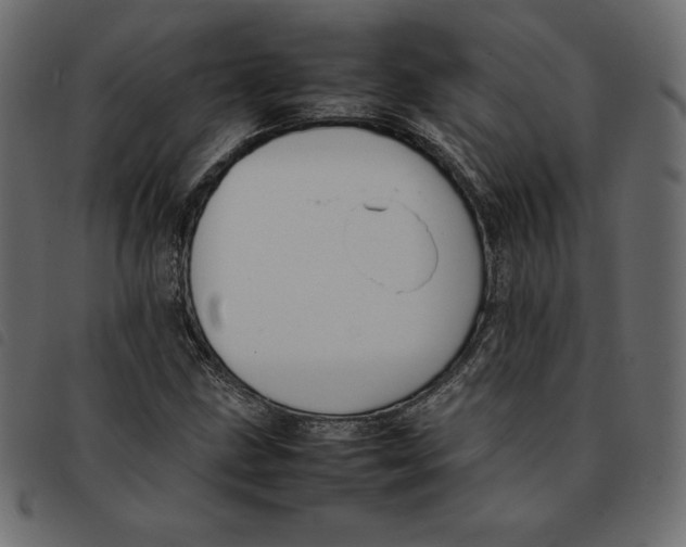 X0000092251211200710121252