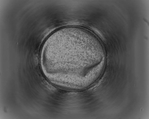 X0000092251212200710121252