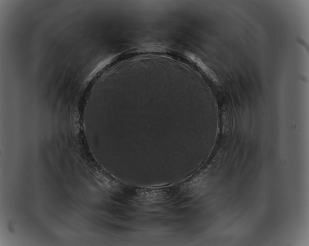 X0000092251213200710121252