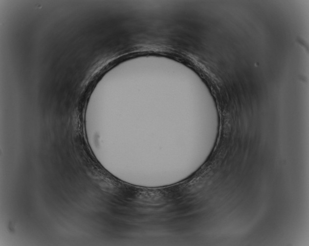 X0000092251215200710121252