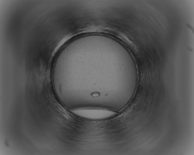 X0000092251216200710121252