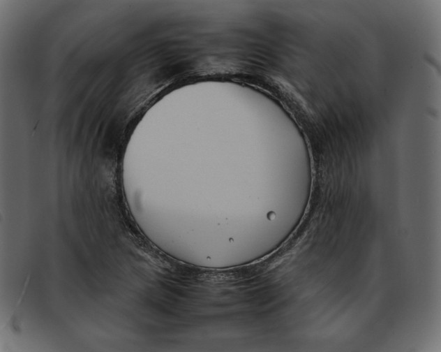 X0000092251217200710121252