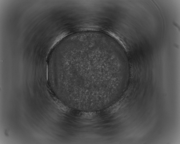 X0000092251219200710121252