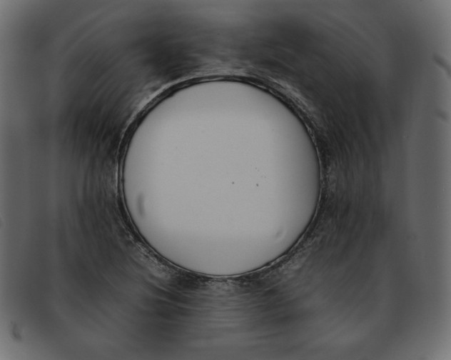 X0000092251220200710121252