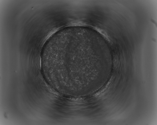 X0000092251221200710121252