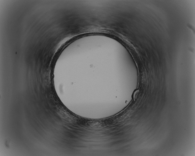 X0000092251222200710121252