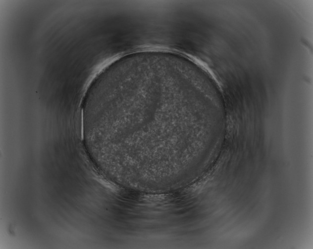 X0000092251223200710121252