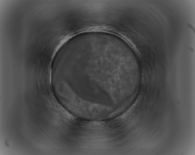 X0000092251224200710121252