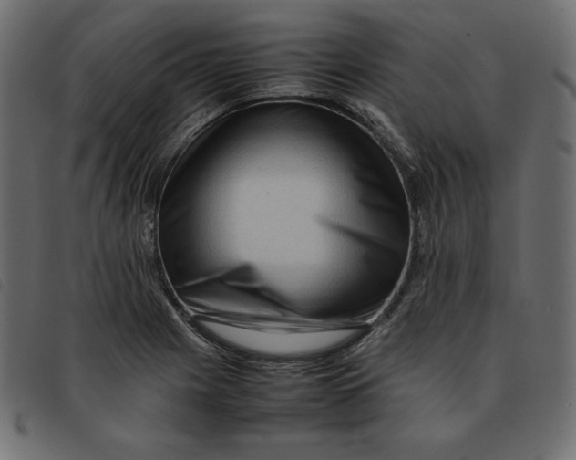 X0000092251225200710121252