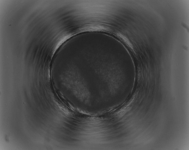 X0000092251226200710121252