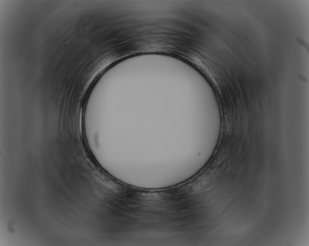 X0000092251227200710121252