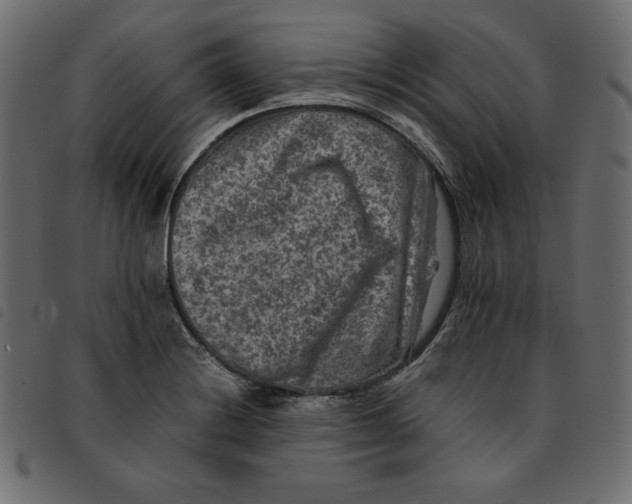 X0000092251228200710121252