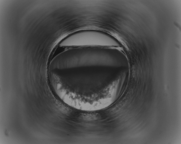 X0000092251229200710121252