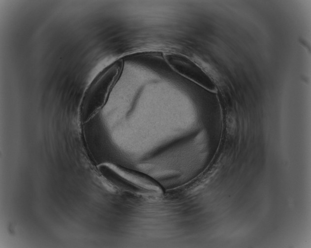 X0000092251230200710121252