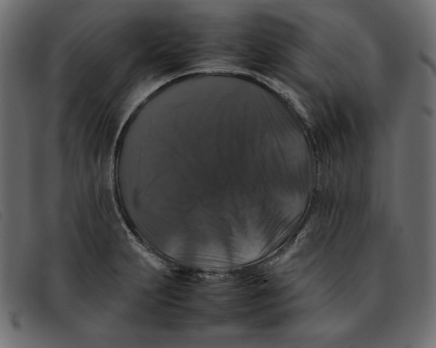 X0000092251231200710121252