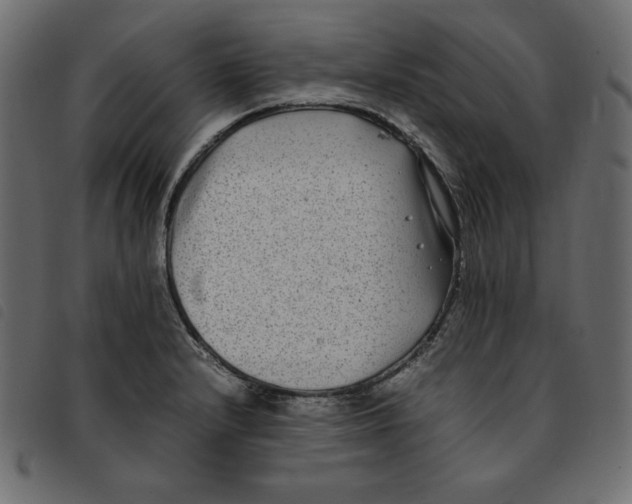 X0000092251232200710121252