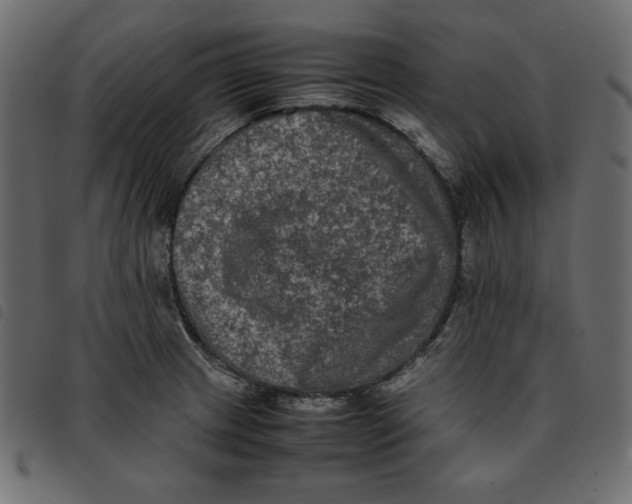 X0000092251233200710121252