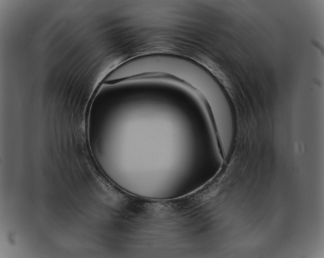 X0000092251234200710121252