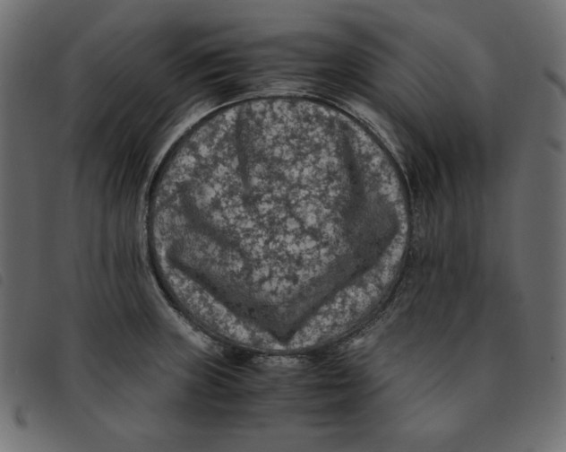 X0000092251235200710121252