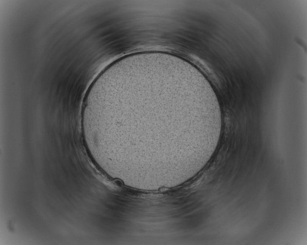 X0000092251236200710121252