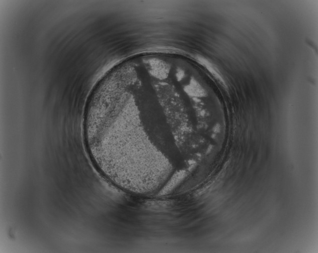 X0000092251237200710121252