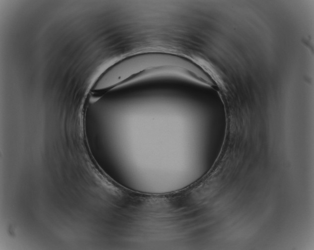 X0000092251238200710121252