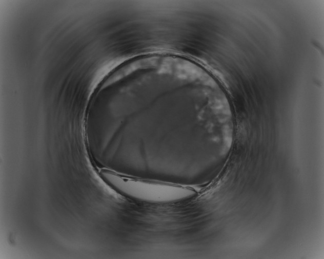 X0000092251239200710121252