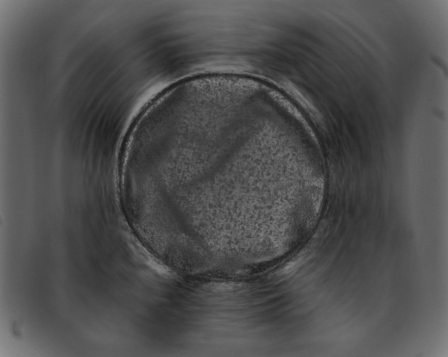 X0000092251240200710121252