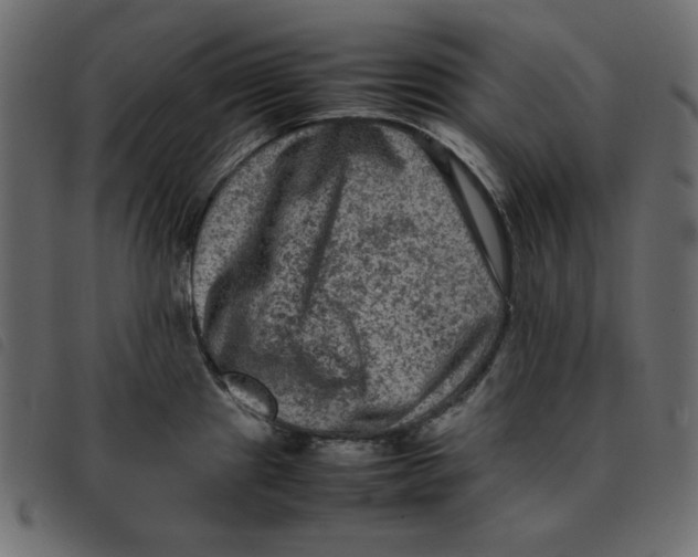 X0000092251241200710121252