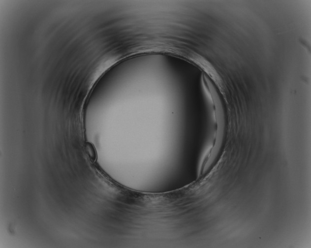 X0000092251242200710121252