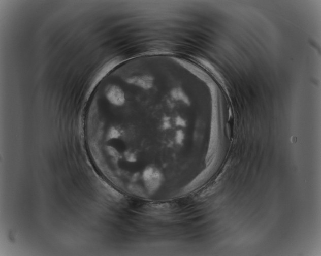 X0000092251243200710121252