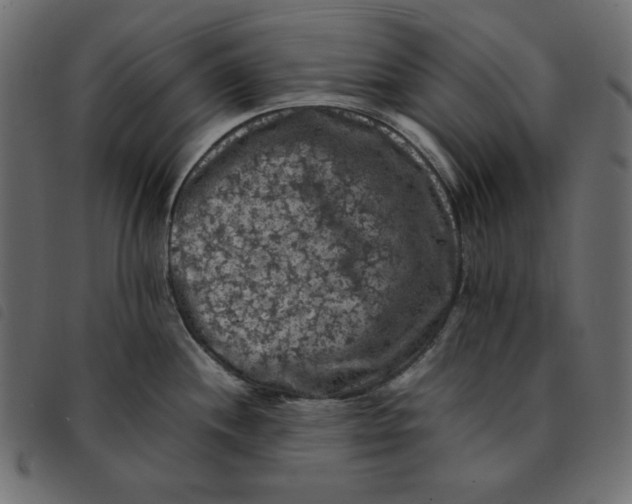 X0000092251244200710121252