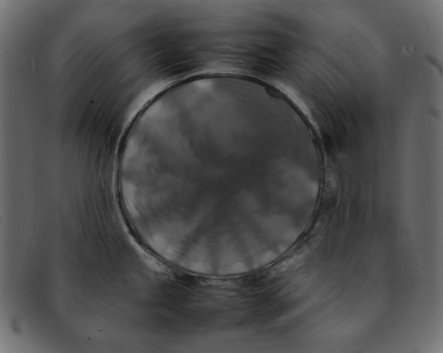 X0000092251245200710121252