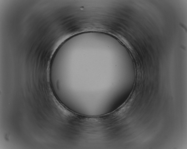 X0000092251246200710121252