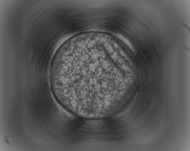 X0000092251247200710121252