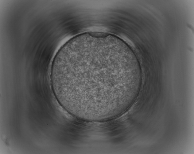 X0000092251248200710121252