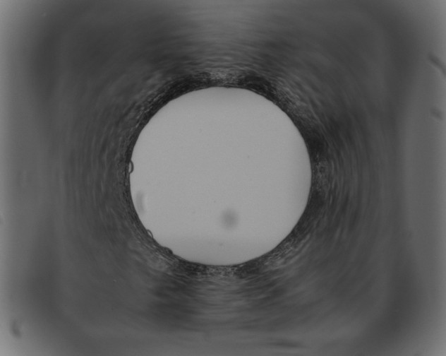 X0000092251249200710121252