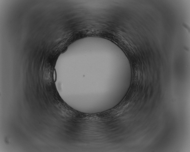 X0000092251250200710121252