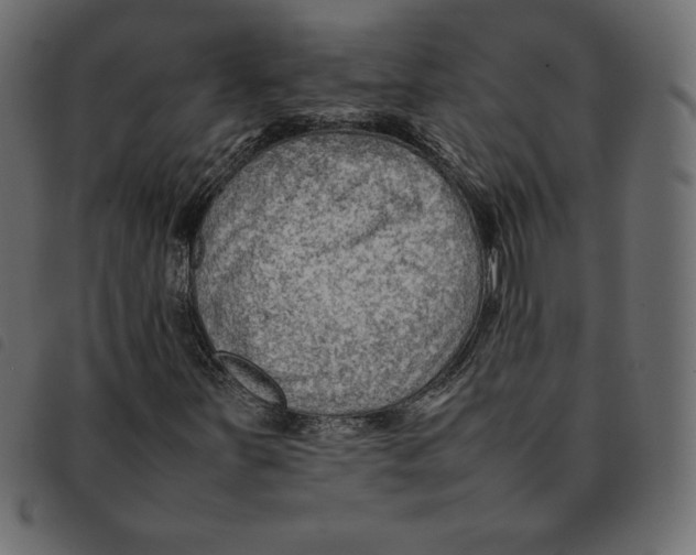 X0000092251251200710121252
