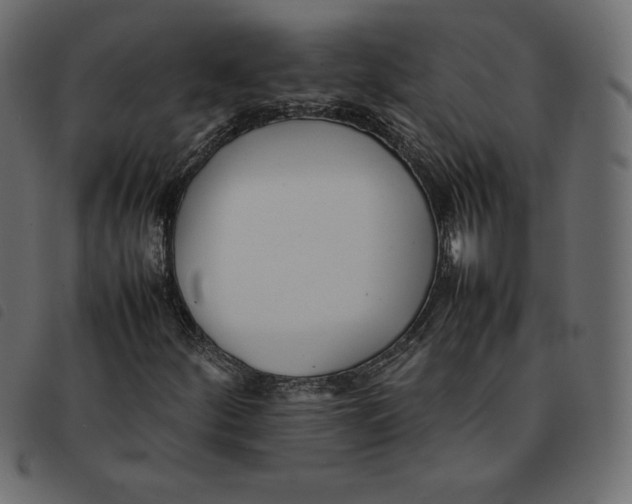 X0000092251252200710121252