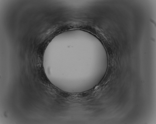 X0000092251253200710121252