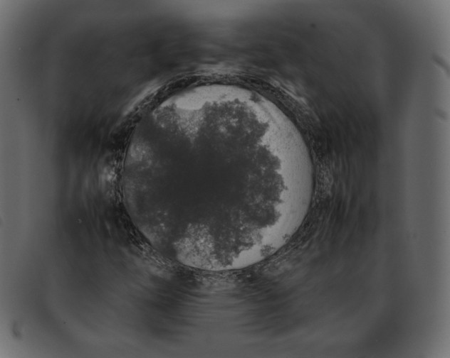 X0000092251254200710121252