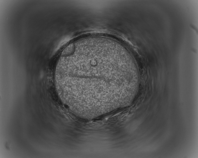 X0000092251255200710121252