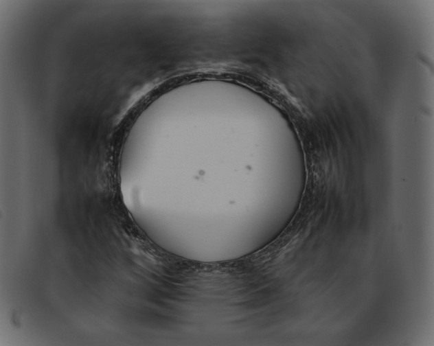 X0000092251256200710121252