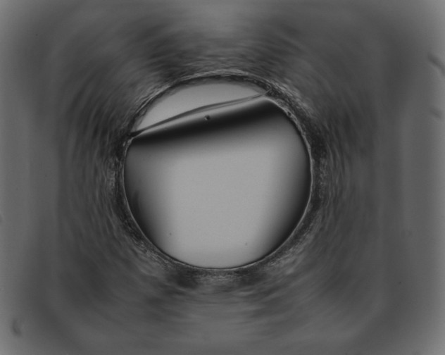 X0000092251257200710121252