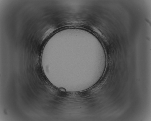 X0000092251259200710121251