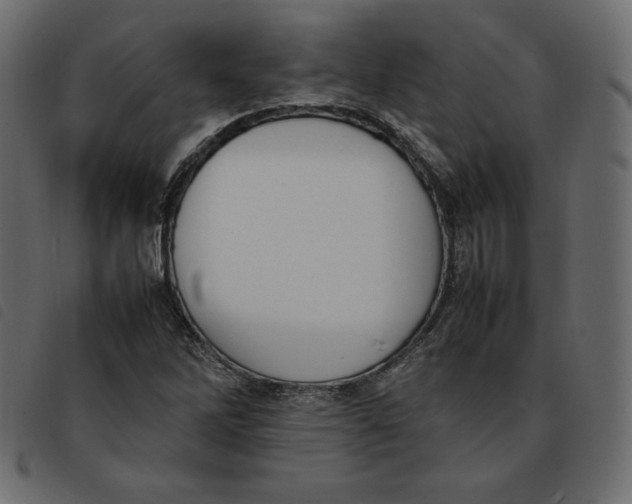 X0000092251262200710121251
