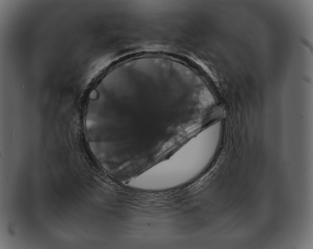 X0000092251263200710121251