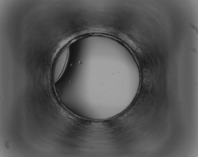 X0000092251264200710121251